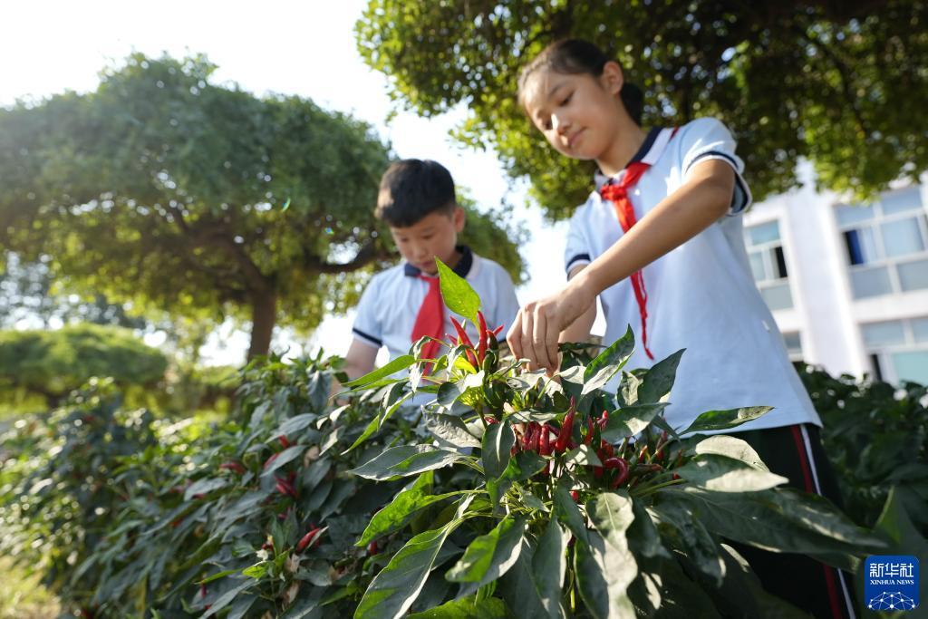 捕鱼大亨游戏下载